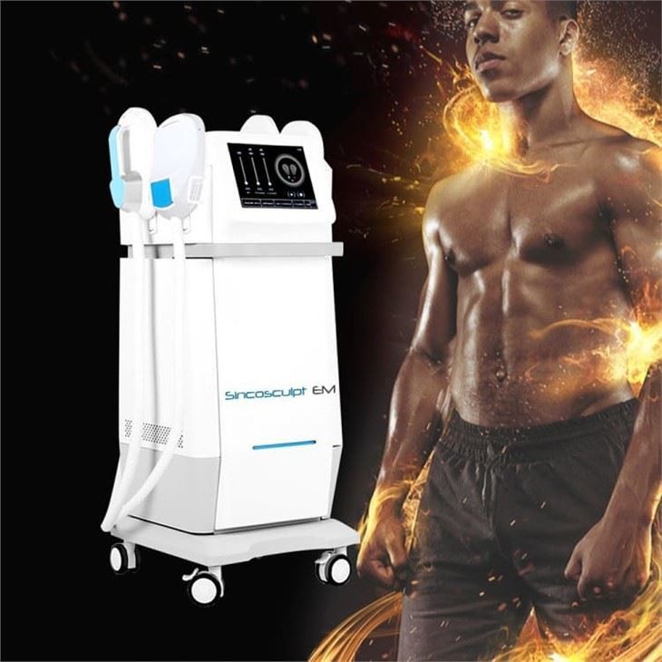 2-4handles Ems Fat Removal Beauty Machine