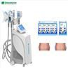 /uploads/202134052/small/best-cryolipolysis-machine14025887511.jpg