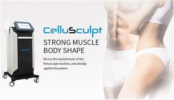 Cellusculpt Build Muscle And Weight Loss Body Sculpting Equipment Factory Price