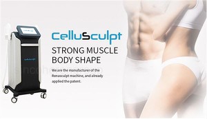 Muscle Increasing CelluSculpt EM Machine Slimming