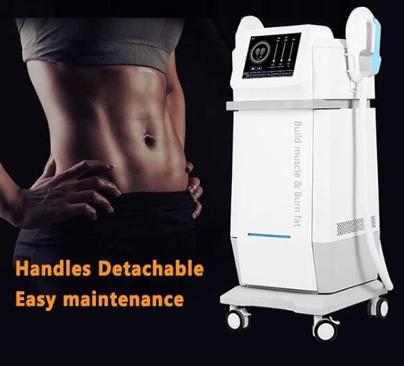 Hi-EMt Ems Muscle Trainner Body Counting Machine