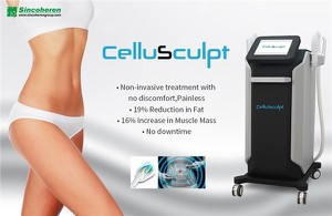 Hi-emt Muscle Building Beauty Machine