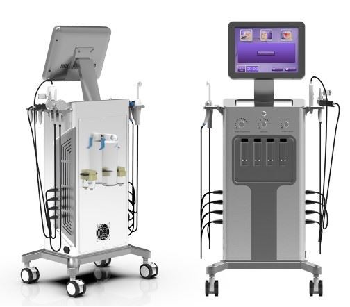 Hydra Skin Deep Cleaning Facial