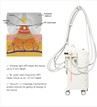 /uploads/202134052/small/kuma-shape-cellulite-removal-machine-kuma52285099915.png