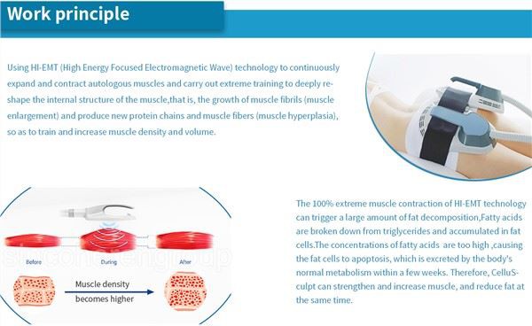 sincoheren Beauty Machine Ems Muscle Stimulator fat burning slimming beauty equipment Muscle Building