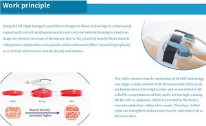 sincoheren Beauty Machine Ems Muscle Stimulator fat burning slimming beauty equipment Muscle Building