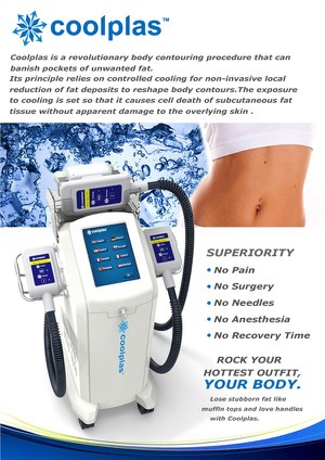 Sincoheren Cryolipolysis Fat Freezing Machine