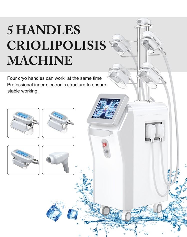 5 in 1 Cryolipolysis Machine