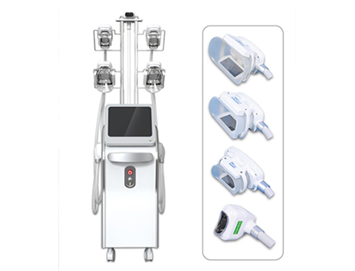 5 in 1 Cryolipolysis Machine